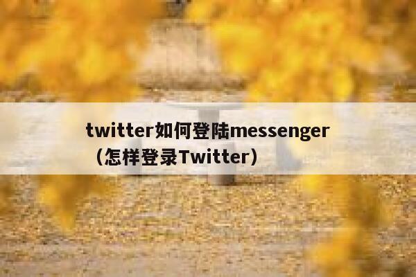 twitter如何登陆messenger（怎样登录Twitter） 第1张