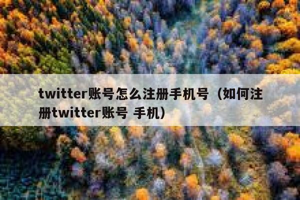 twitter账号怎么注册手机号（如何注册twitter账号 手机） 第1张