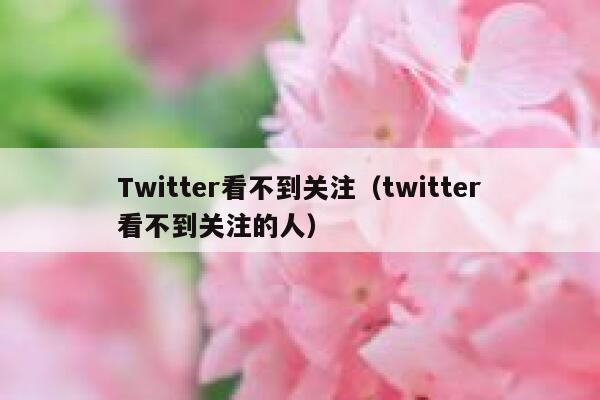 Twitter看不到关注（twitter看不到关注的人） 第1张