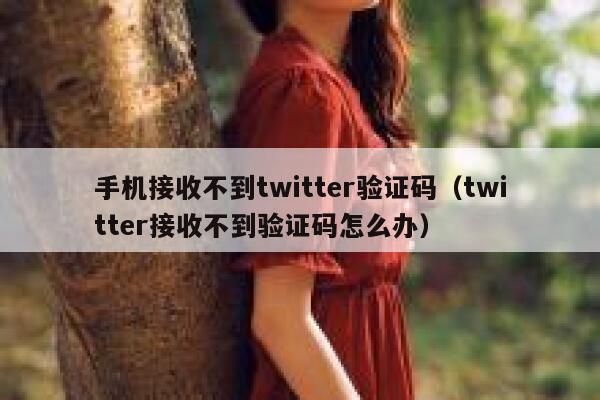 手机接收不到twitter验证码（twitter接收不到验证码怎么办） 第1张