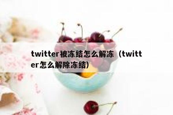 twitter被冻结怎么解冻（twitter怎么解除冻结） 第1张