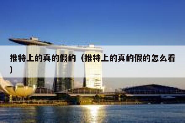 推特上的真的假的（推特上的真的假的怎么看） 第1张