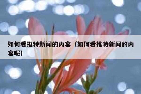 如何看推特新闻的内容（如何看推特新闻的内容呢） 第1张