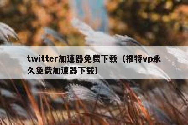 twitter加速器免费下载（推特vp永久免费加速器下载） 第1张