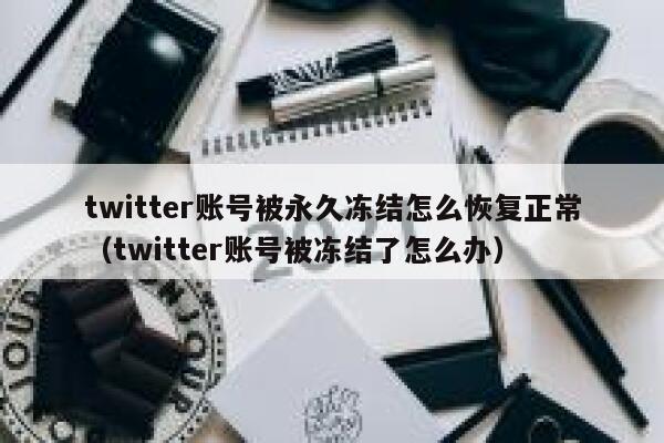 twitter账号被永久冻结怎么恢复正常（twitter账号被冻结了怎么办） 第1张
