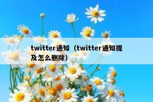 twitter通知（twitter通知提及怎么删除） 第1张