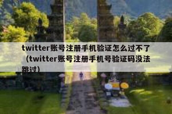 twitter账号注册手机验证怎么过不了（twitter账号注册手机号验证码没法跳过） 第1张