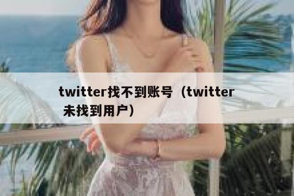 twitter找不到账号（twitter 未找到用户） 第1张