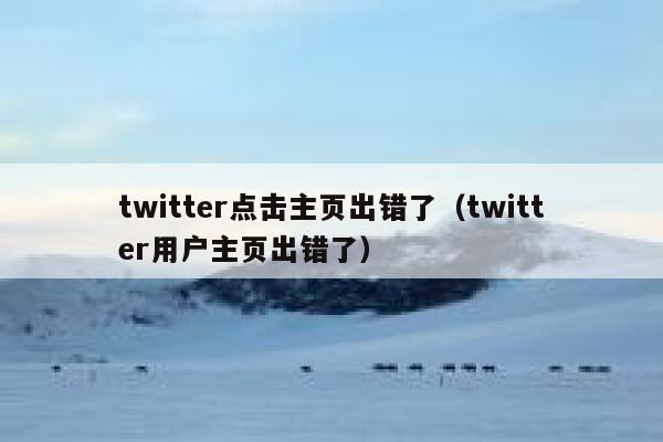 twitter点击主页出错了（twitter用户主页出错了） 第1张