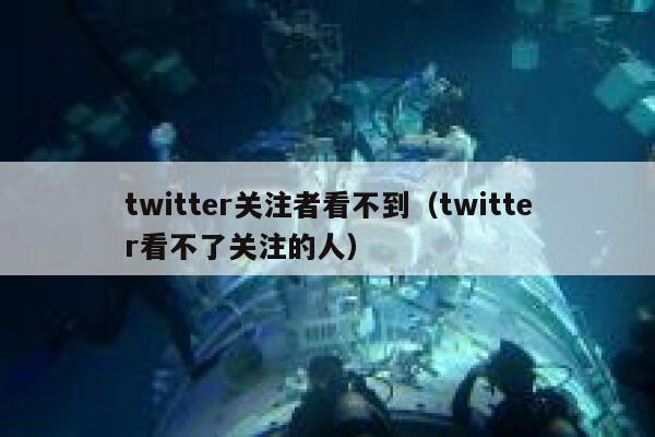 twitter关注者看不到（twitter看不了关注的人） 第1张