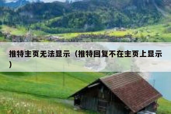 推特主页无法显示（推特回复不在主页上显示） 第1张