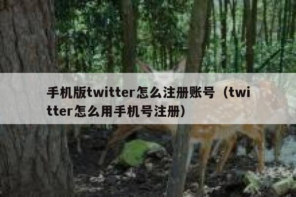 手机版twitter怎么注册账号（twitter怎么用手机号注册） 第1张