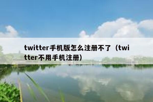 twitter手机版怎么注册不了（twitter不用手机注册） 第1张