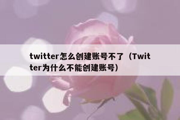 twitter怎么创建账号不了（Twitter为什么不能创建账号） 第1张