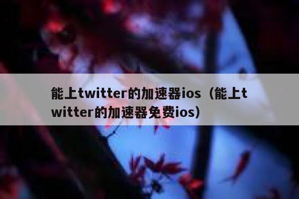 能上twitter的加速器ios（能上twitter的加速器免费ios） 第1张