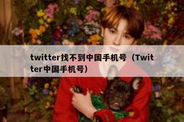 twitter找不到中国手机号（Twitter中国手机号） 第1张