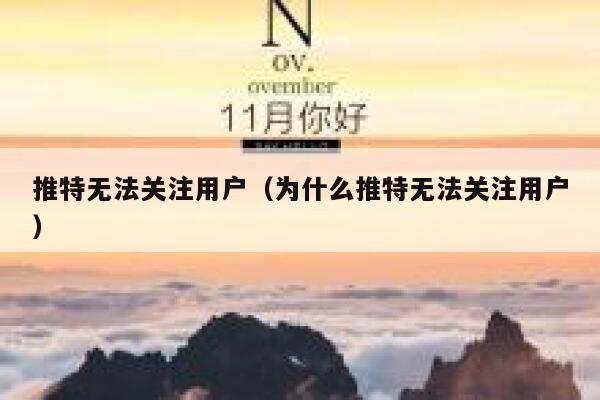 推特无法关注用户（为什么推特无法关注用户） 第1张