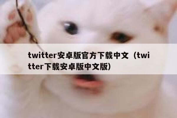 twitter安卓版官方下载中文（twitter下载安卓版中文版） 第1张