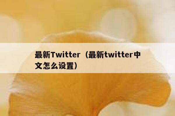 最新Twitter（最新twitter中文怎么设置） 第1张