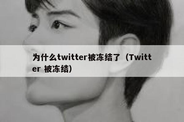 为什么twitter被冻结了（Twitter 被冻结） 第1张
