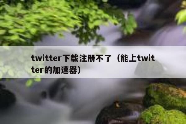 twitter下载注册不了（能上twitter的加速器） 第1张