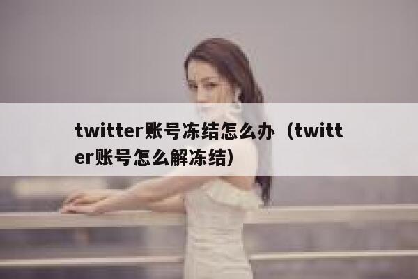 twitter账号冻结怎么办（twitter账号怎么解冻结） 第1张