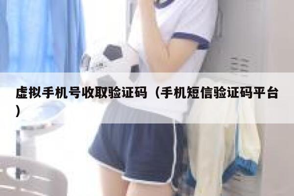 虚拟手机号收取验证码（手机短信验证码平台） 第1张
