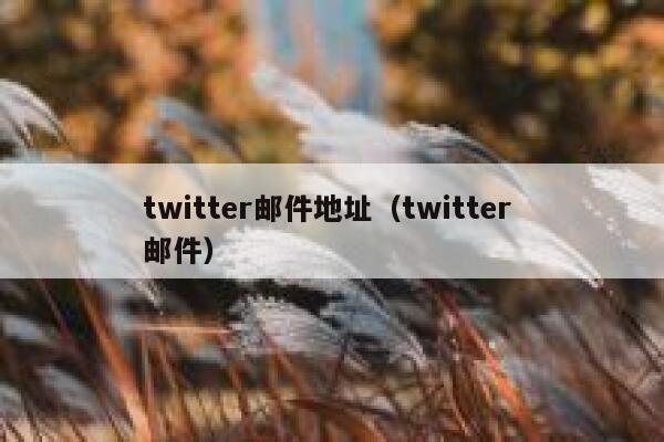 twitter邮件地址（twitter 邮件） 第1张