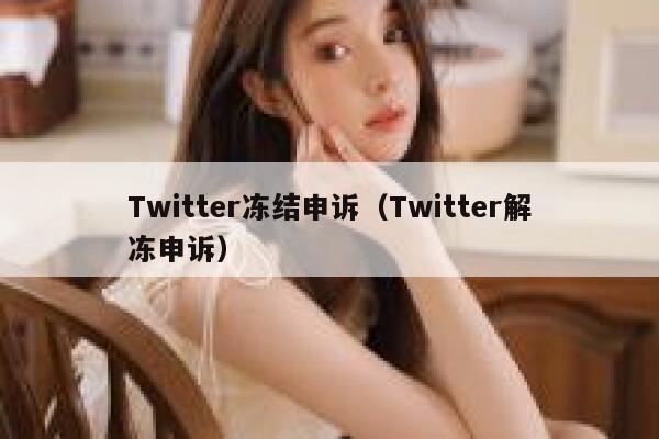 Twitter冻结申诉（Twitter解冻申诉） 第1张