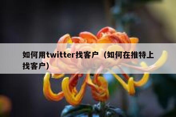 如何用twitter找客户（如何在推特上找客户） 第1张
