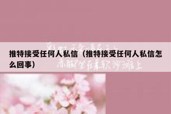 推特接受任何人私信（推特接受任何人私信怎么回事） 第1张
