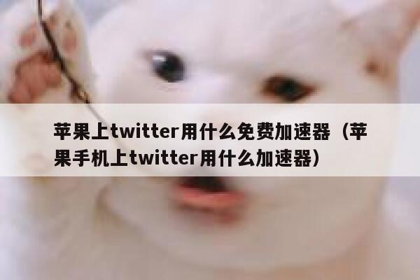 苹果上twitter用什么免费加速器（苹果手机上twitter用什么加速器） 第1张