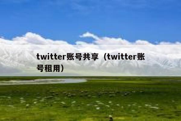 twitter账号共享（twitter账号租用） 第1张