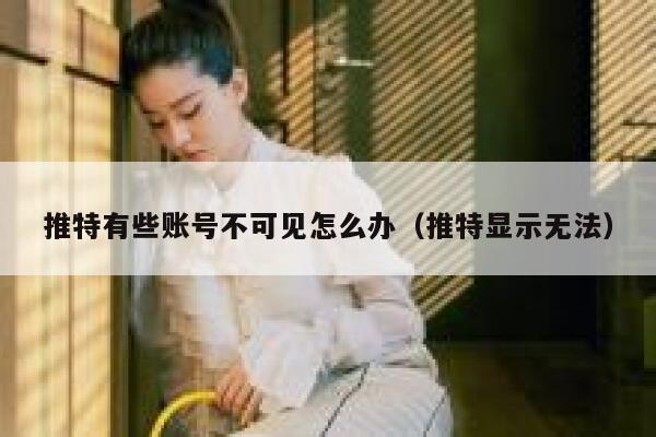 推特有些账号不可见怎么办（推特显示无法） 第1张