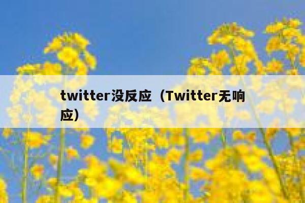 twitter没反应（Twitter无响应） 第1张