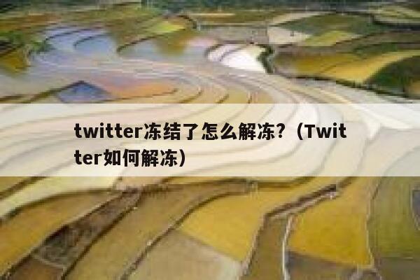 twitter冻结了怎么解冻?（Twitter如何解冻） 第1张