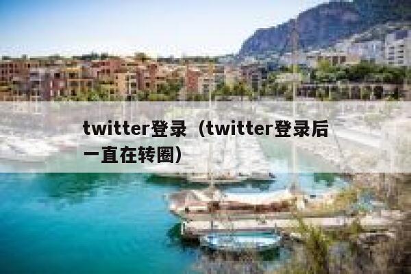 twitter登录（twitter登录后一直在转圈） 第1张