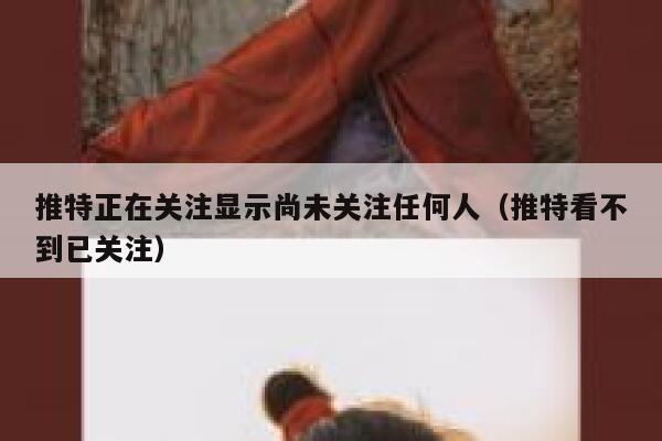 推特正在关注显示尚未关注任何人（推特看不到已关注） 第1张