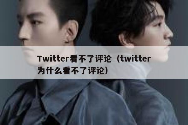 Twitter看不了评论（twitter为什么看不了评论） 第1张