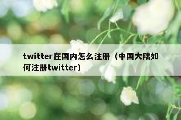 twitter在国内怎么注册（中国大陆如何注册twitter） 第1张