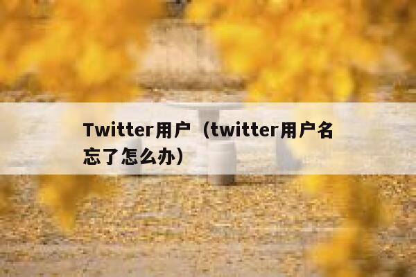 Twitter用户（twitter用户名忘了怎么办） 第1张