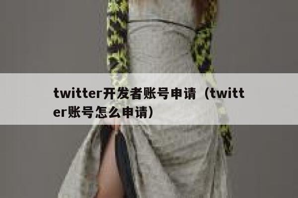 twitter开发者账号申请（twitter账号怎么申请） 第1张