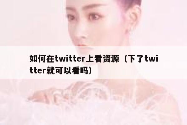 如何在twitter上看资源（下了twitter就可以看吗） 第1张