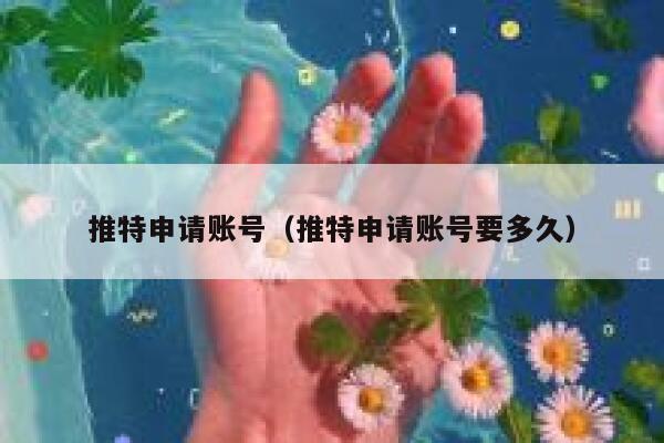 推特申请账号（推特申请账号要多久） 第1张
