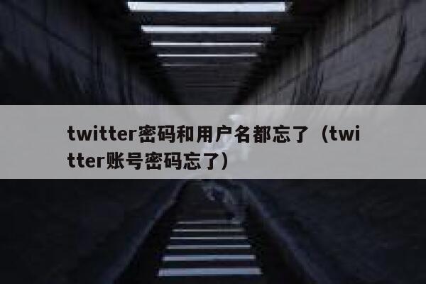 twitter密码和用户名都忘了（twitter账号密码忘了） 第1张