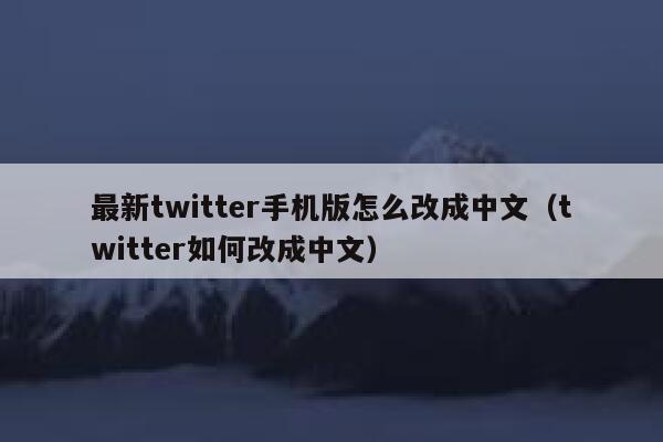 最新twitter手机版怎么改成中文（twitter如何改成中文） 第1张