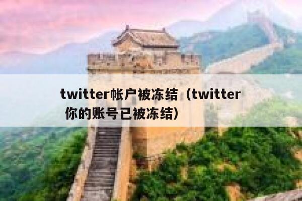 twitter帐户被冻结（twitter 你的账号已被冻结） 第1张