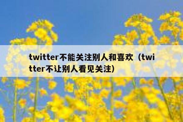twitter不能关注别人和喜欢（twitter不让别人看见关注） 第1张
