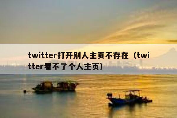 twitter打开别人主页不存在（twitter看不了个人主页） 第1张