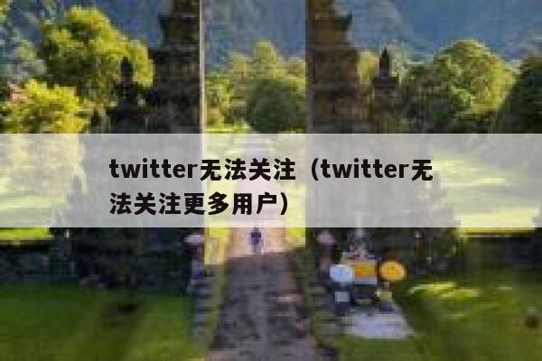 twitter无法关注（twitter无法关注更多用户） 第1张